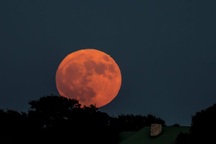 Quan sát siêu trăng lớn nhất trong vòng 70 năm qua bằng cách nào?