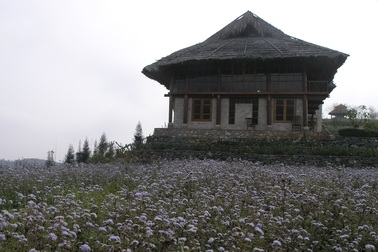 Sa Pa phong tỏa khu sinh thái nơi 2 du khách Anh lưu trú