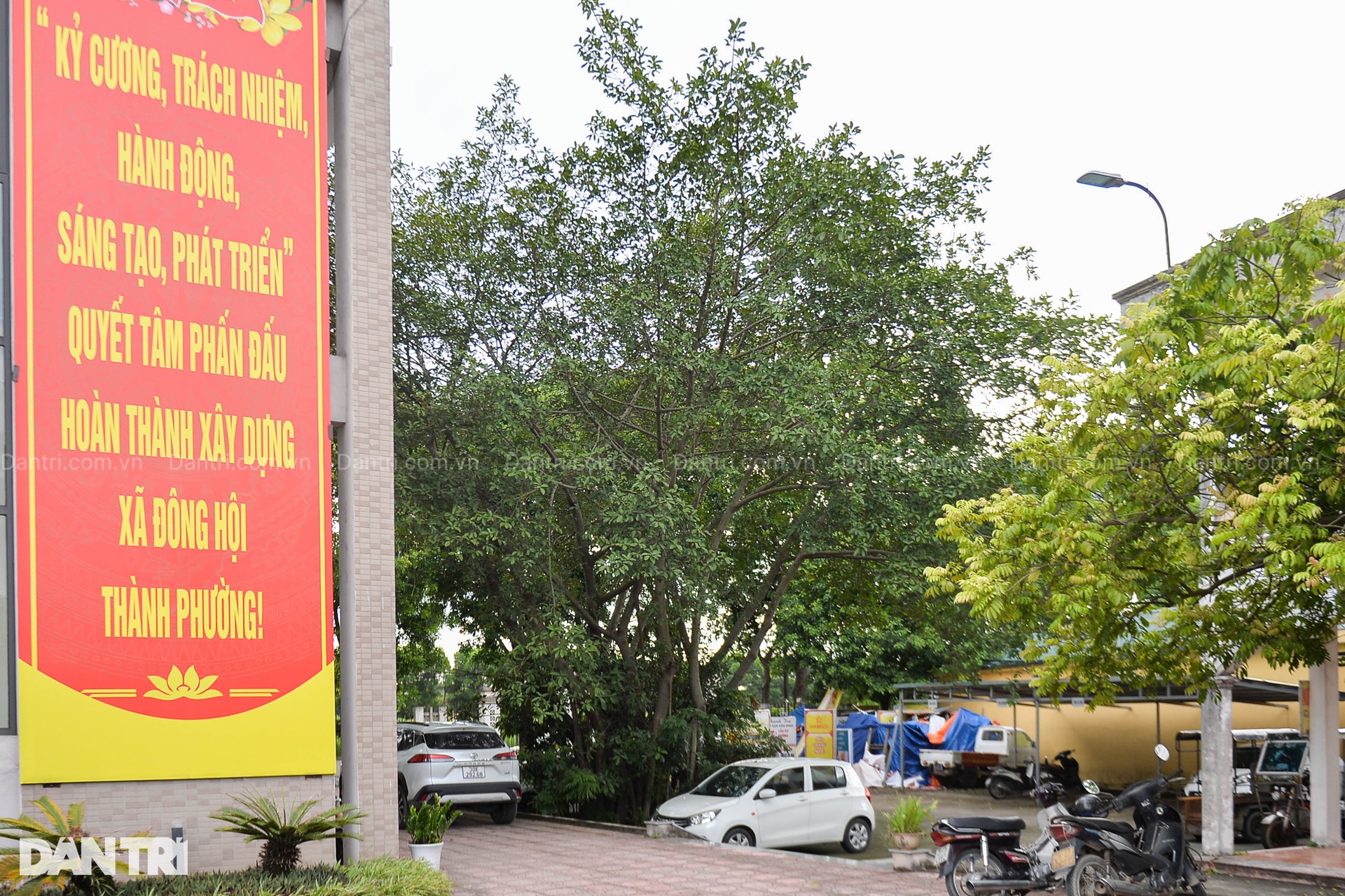Những kỷ niệm của Tổng Bí thư Nguyễn Phú Trọng với vùng quê Đông Hội - 1 Những kỷ niệm của Tổng Bí thư Nguyễn Phú Trọng với vùng quê Đông Hội - 1