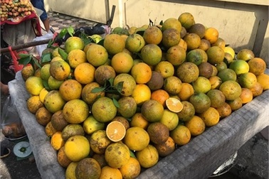 Nho, cam Trung Quốc không hạt: Bà nội trợ hớ nặng