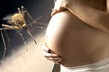 Vi rút Zika “sống khỏe" trong não trẻ sơ sinh