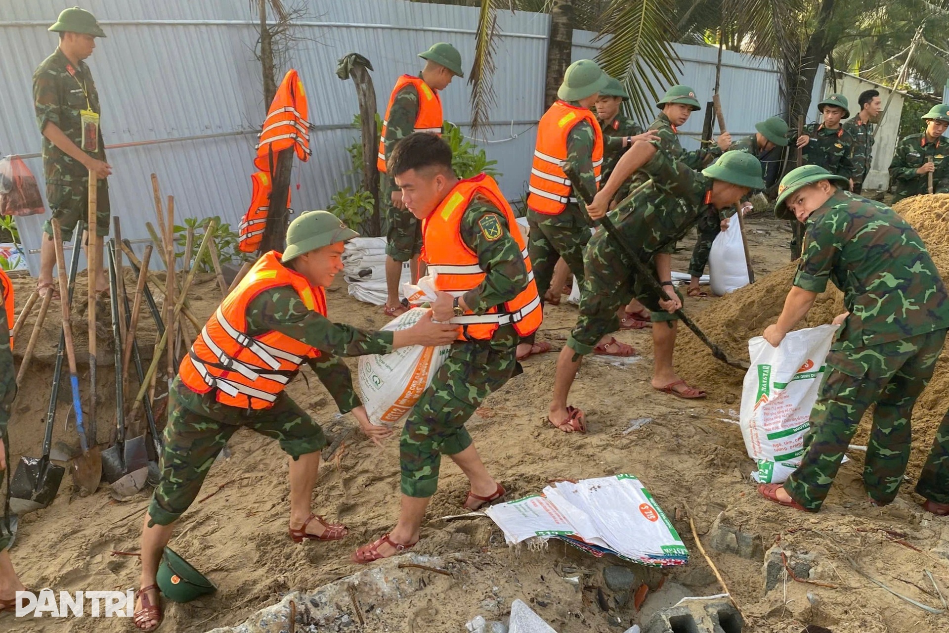 Hàng trăm chiến sĩ bộ đội dồn sức vá bờ biển Hội An - 3 Hàng trăm chiến sĩ bộ đội dồn sức vá bờ biển Hội An - 3