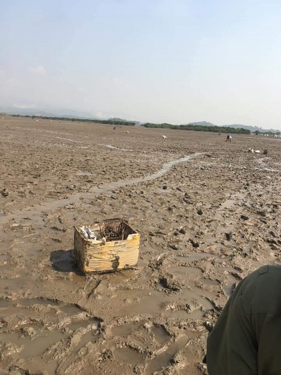 Mất việc vì Covid-19: Lễ tân du thuyền hạng sang đi mò cua bắt ốc - 3 Mất việc vì Covid-19: Lễ tân du thuyền hạng sang đi mò cua bắt ốc - 3