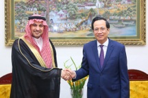 "Các nước phải điều chỉnh tiền lương, đãi ngộ để thu hút lao động Việt"