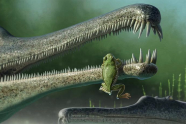 Phát hiện hoá thạch loài ếch cổ nhất ở Bắc Mỹ