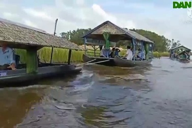 Tham quan Tràm Chim mùa nước nổi