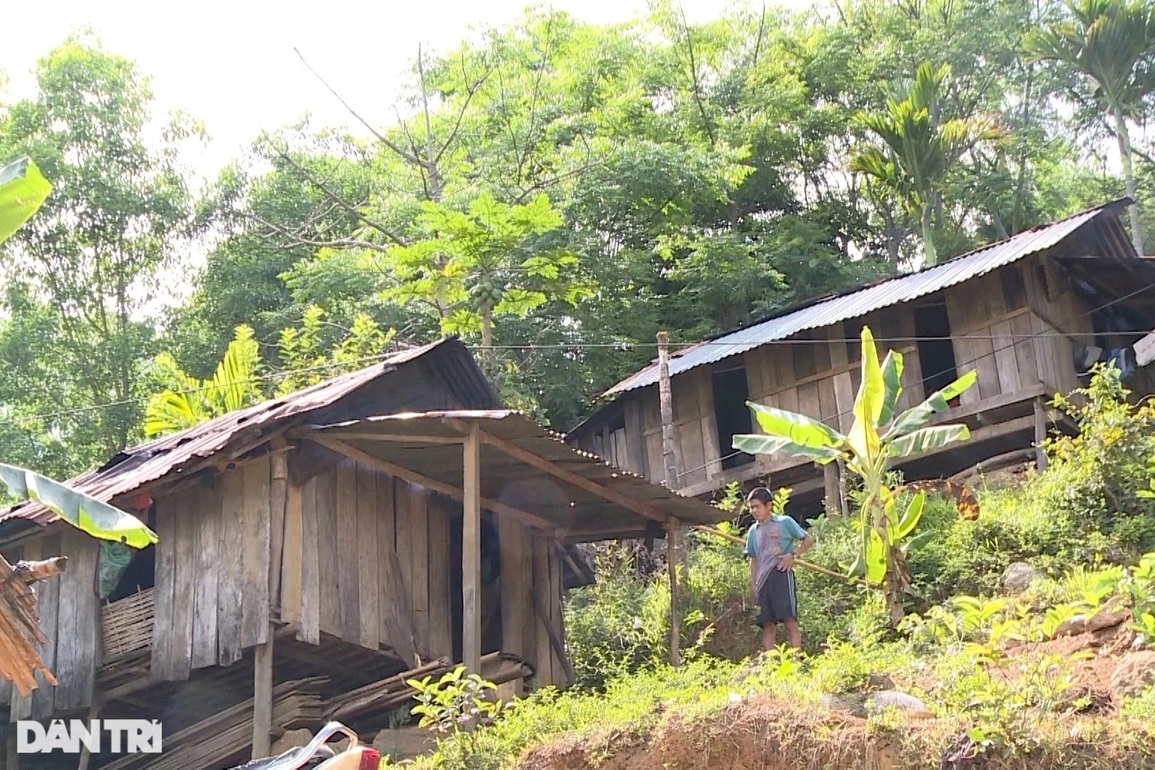 Khu tái định cư khang trang bị bỏ hoang gần 10 năm - 4 Khu tái định cư khang trang bị bỏ hoang gần 10 năm - 4