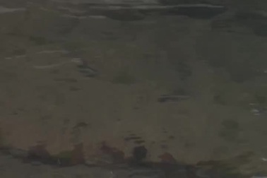 Sao Trung Quốc Trọng Ni trong một clip hướng dẫn nấu ăn