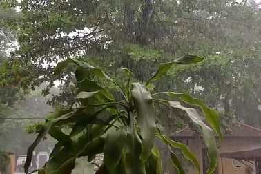 Mưa gió lớn tại Huế trước giờ bão số 10 đổ bộ.