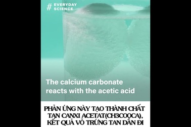 Thí nghiệm vui: 5 bước tạo ra quả trứng “không thể vỡ”!