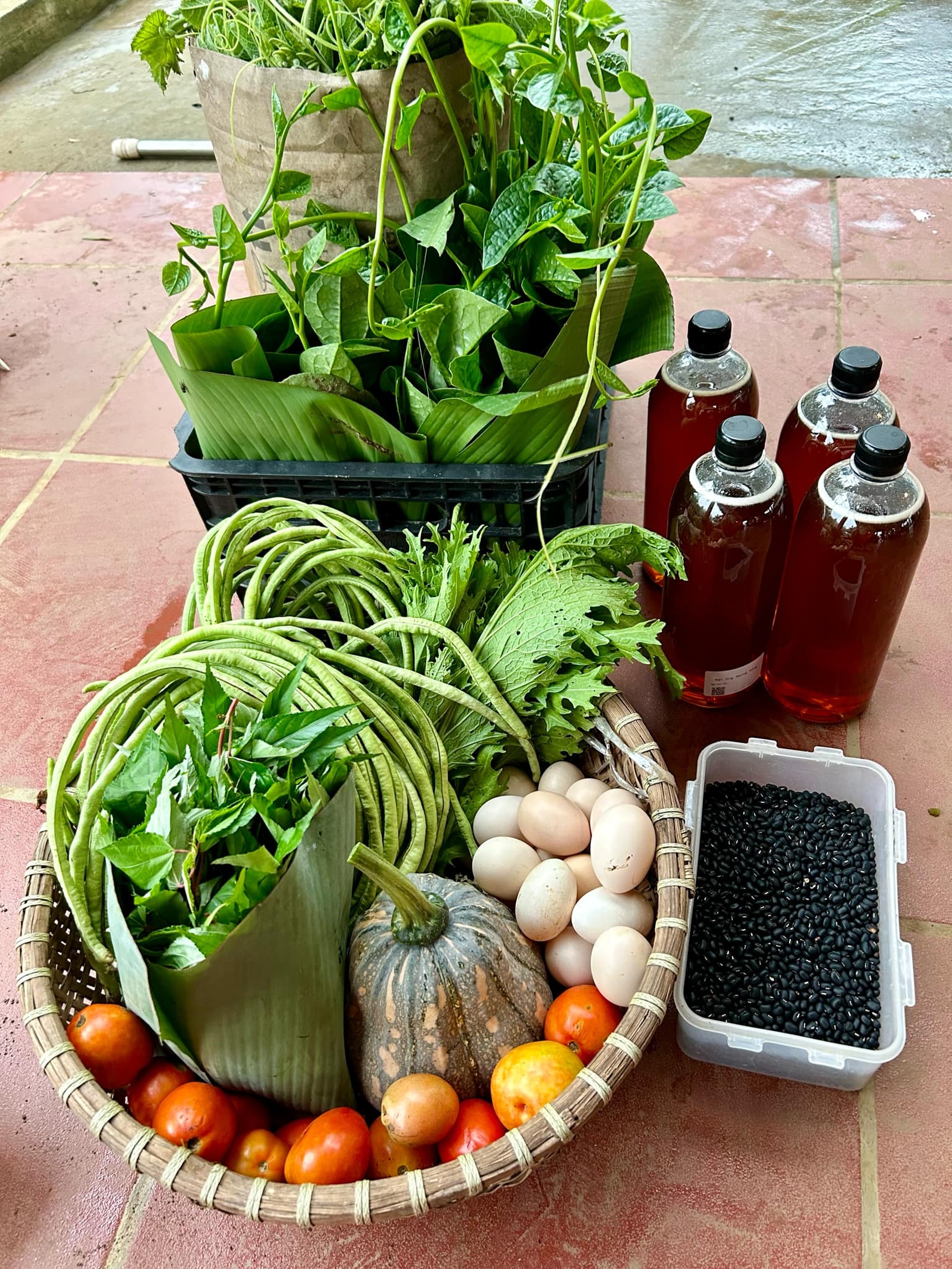 Sợ rau bẩn bụi mịn, vợ chồng ở Hà Nội mua 1.500m2 đất quê để nghỉ dưỡng - 9 Sợ rau bẩn bụi mịn, vợ chồng ở Hà Nội mua 1.500m2 đất quê để nghỉ dưỡng - 9