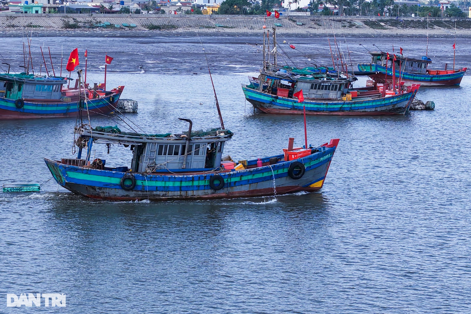 Xông biển chuyến đầu năm, ngư dân kiếm tiền triệu - 2 Xông biển chuyến đầu năm, ngư dân kiếm tiền triệu - 2