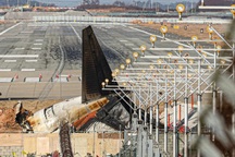 Hàn Quốc yêu cầu tất cả sân bay lắp camera, radar phát hiện chim