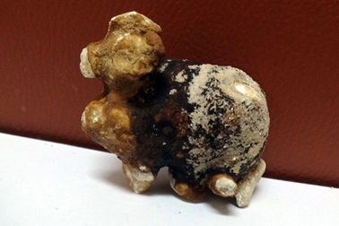 Mục sở thị những viên sỏi thận hình các con vật