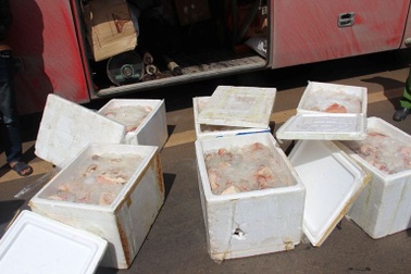 Chở gần 2,5 tạ thịt thối từ miền Bắc vào Tây Nguyên tiêu thụ