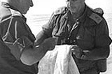 Bán đấu giá... khăn băng vết thương 