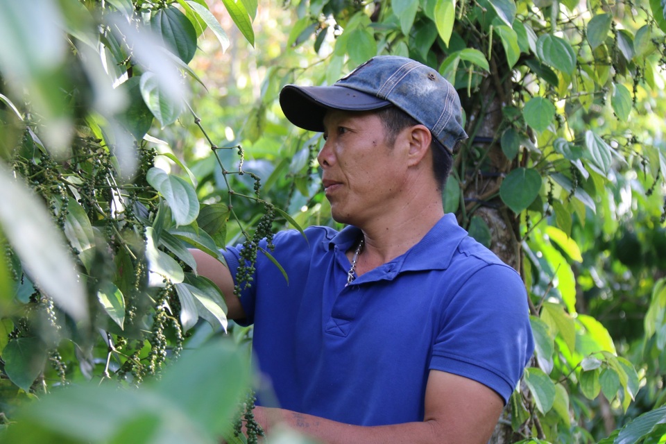 Hàng chục hộ dân đồng loạt viết đơn tình nguyện thoát nghèo - 2 Hàng chục hộ dân đồng loạt viết đơn tình nguyện thoát nghèo - 2