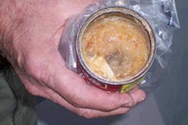 Chuột chết trong món súp 