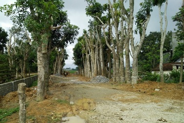 Huyện ủy viên bị đề nghị kỷ luật vì liên quan nhiều sai phạm