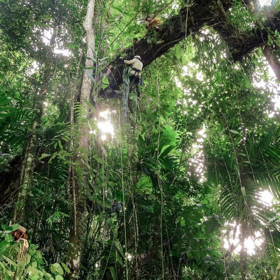 Người đàn ông mua quả đồi 12 nghìn m2 làm nhà để bảo vệ thiên nhiên - 12 Người đàn ông mua quả đồi 12 nghìn m2 làm nhà để bảo vệ thiên nhiên - 12