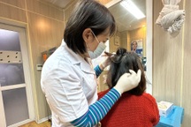 Có nên nhổ tóc bạc?