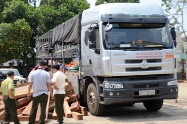 Bắt giữ xe tải chở gỗ lậu ngụy trang xe của báo chí