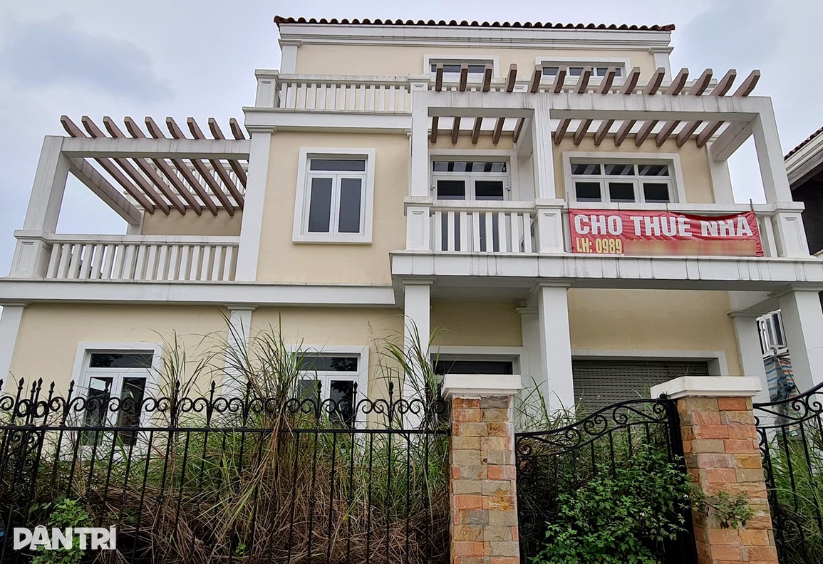 Không khách thuê, chủ shophouse mất trắng hàng trăm triệu đồng/năm - 15 Không khách thuê, chủ shophouse mất trắng hàng trăm triệu đồng/năm - 15