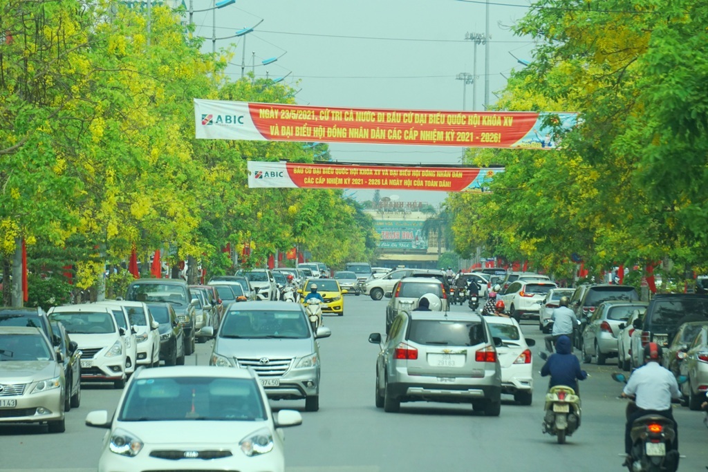 Mãn nhãn với muồng hoàng yến nở vàng rực rỡ trên phố phường xứ Thanh - 15 Mãn nhãn với muồng hoàng yến nở vàng rực rỡ trên phố phường xứ Thanh - 15