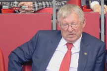 Biểu cảm chán chường của Sir Alex và Beckham khi Man Utd thua Man City