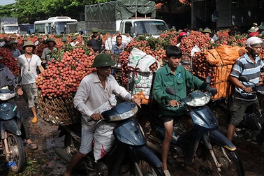Một vụ thu 7.000 tỷ đồng, ôm tiền gửi ngân hàng, mua đất, tậu ô tô