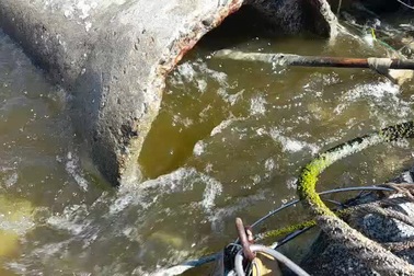 Doanh nghiệp nuôi tôm xả thải thẳng ra biển, cả vùng nước đổi màu đen