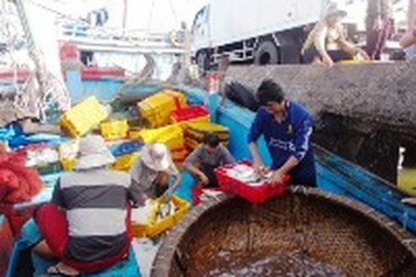 Phổ biến số điện thoại đường dây nóng hỗ trợ ngư dân