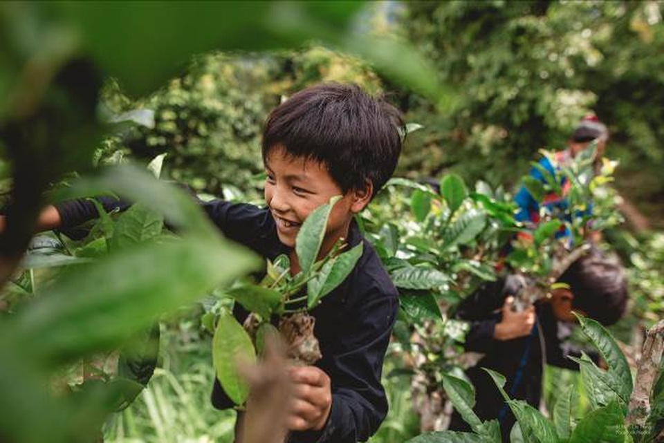 Cuộc sống của trẻ em dân tộc Cờ Lao qua ống kính nhiếp ảnh - 1 Cuộc sống của trẻ em dân tộc Cờ Lao qua ống kính nhiếp ảnh - 1