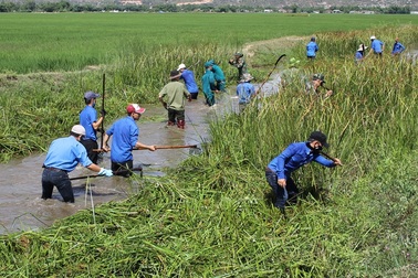 Thanh niên Bình Định xuống nước nạo vét kênh mương cho dân