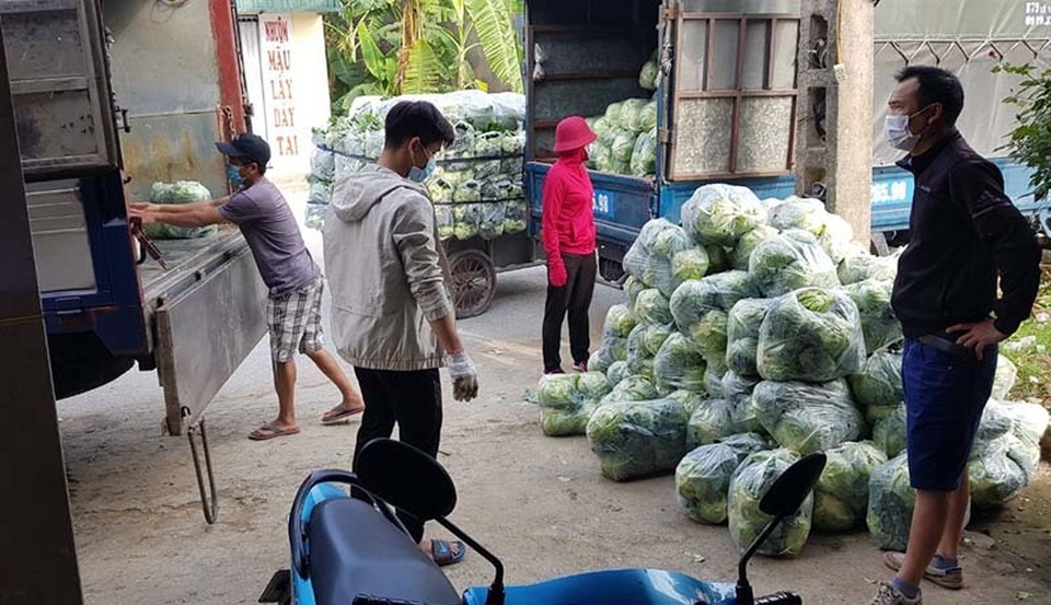 Nông sản Hải Dương: Vì sao Hải Phòng cấm cửa, Hà Nội rộng đường chào đón? - 2 Nông sản Hải Dương: Vì sao Hải Phòng cấm cửa, Hà Nội rộng đường chào đón? - 2