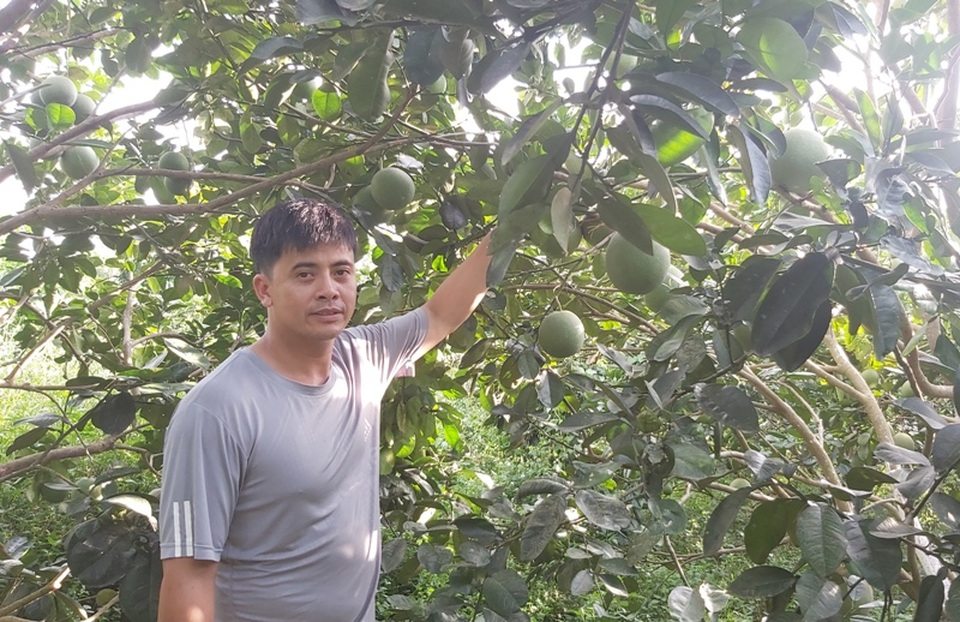 Thầy giáo làm trang trại thu 200 triệu đồng mỗi năm - 1 Thầy giáo làm trang trại thu 200 triệu đồng mỗi năm - 1