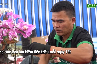 Làm thời vụ dịp Tết, kiếm cả triệu đồng mỗi ngày