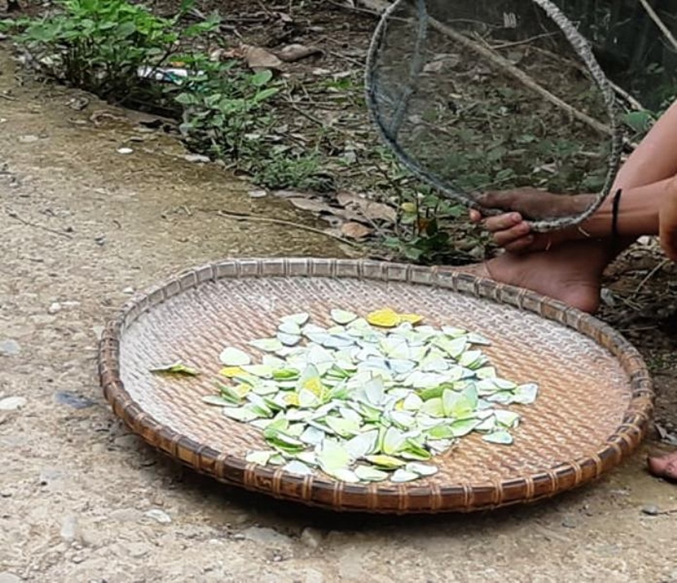 Trên 2 vạn người dân ở huyện biên giới Nghệ An cần gạo cứu đói - 7 Trên 2 vạn người dân ở huyện biên giới Nghệ An cần gạo cứu đói - 7