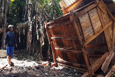 Rừng “chảy máu”, chòi canh rừng bị phá