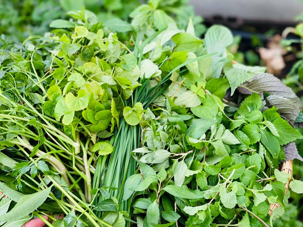 Vợ chồng tại TPHCM biến nóc nhà thành siêu thị nông sản ngập rau trái - 13