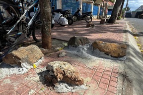 Hàng loạt tảng đá bất ngờ được "găm" trên vỉa hè trước trường học