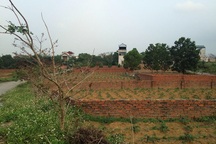 Một tuần tăng giá gấp 3, tranh nhau mảnh đất ven đô đầy cỏ dại