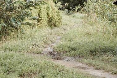 Điều tra vụ nữ du khách Anh tố tài xế xe công nghệ tấn công tình dục