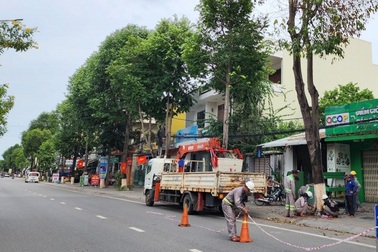 Quảng Ngãi báo cáo Bộ Công an về dự án cây xanh