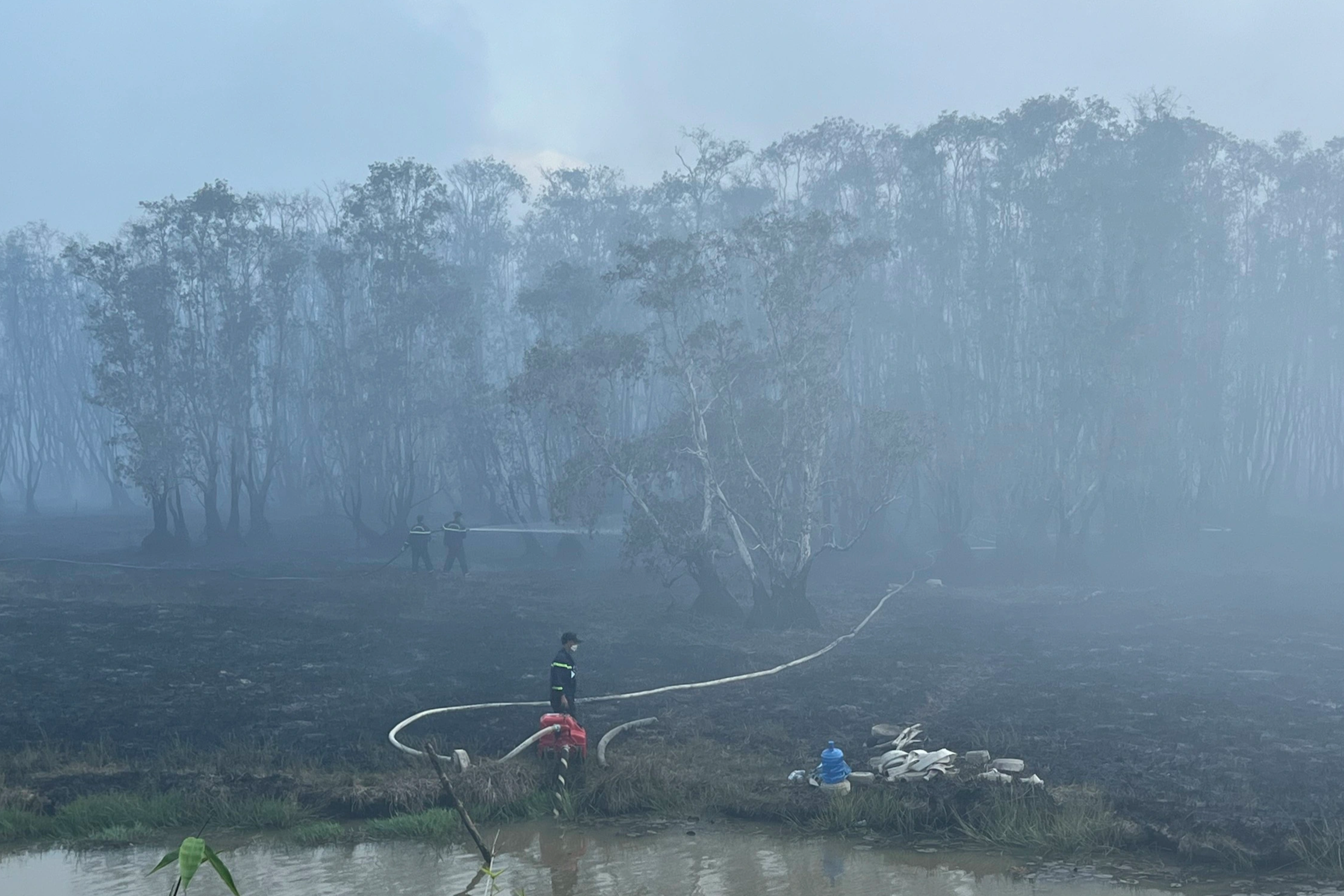 Incendio en el Parque Nacional Tram Chim: Investigación de trampas para ratones en el lugar - 2 Cháy Vườn quốc gia Tràm Chim: Điều tra các bẫy chuột ở hiện trường - 2