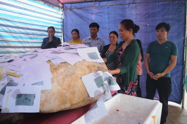 Ngư dân an táng cá lạ nặng gần 400 kg