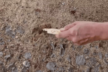 Đường bê tông xã nghèo chưa nghiệm thu đã bong tróc, nứt chằng chịt