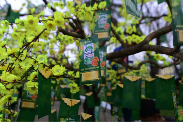 Sự thấu hiểu từ ba thập kỷ gắn kết