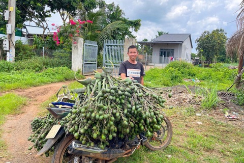 Cây trồng chơi chơi mang lại thu nhập hàng trăm triệu đồng cho nông dân