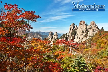 Bùng nổ khách đi tour Hàn Quốc theo chuyến bay charter